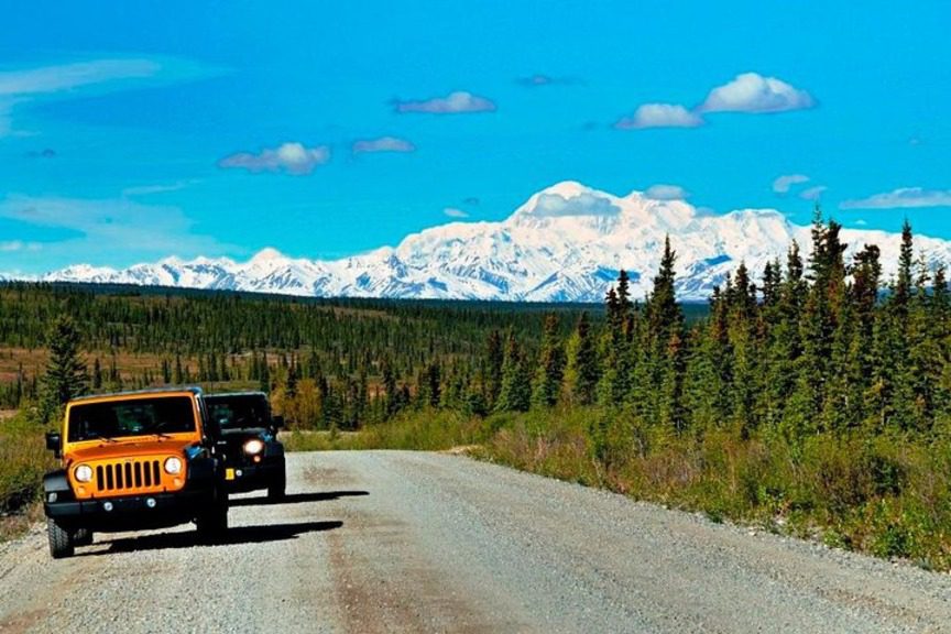 The Majestic Denali Highway