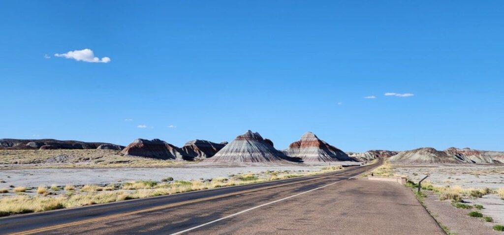 The Petrified Forest