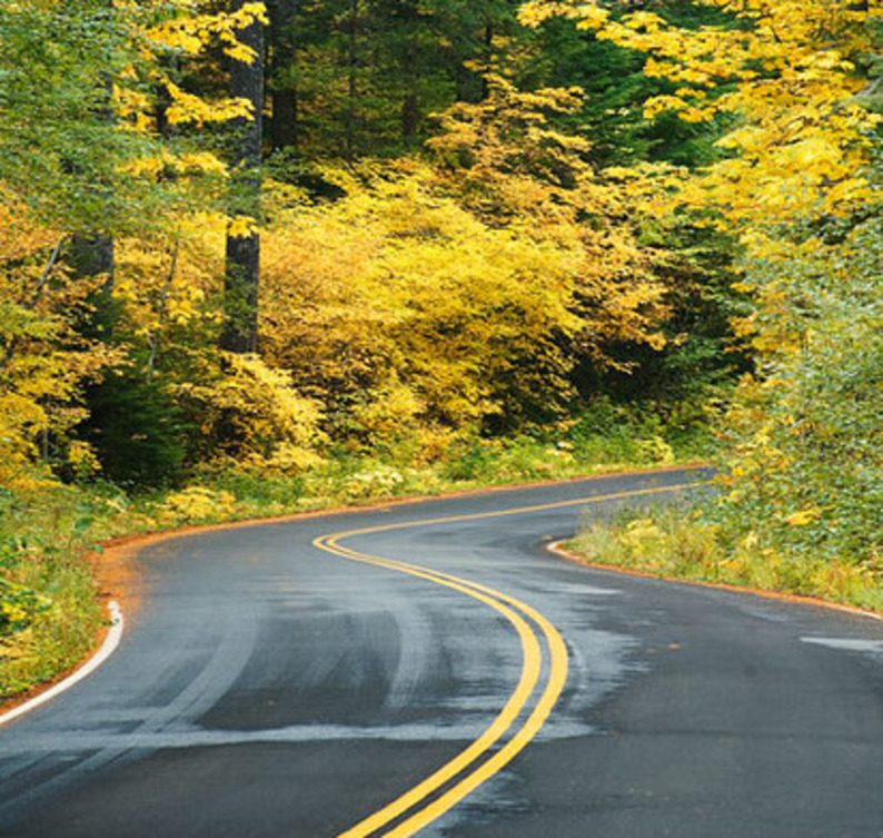 Aufderheide Scenic Byway