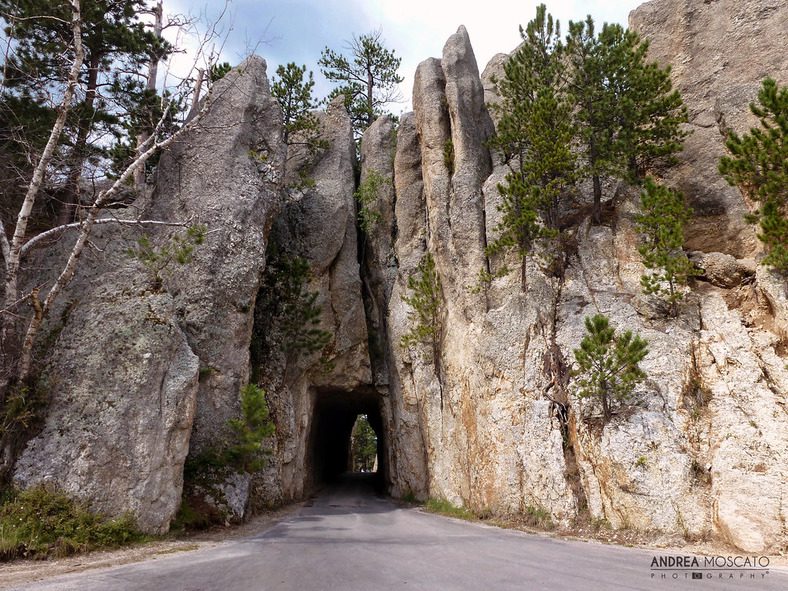 Peter Norbeck National Scenic Byway