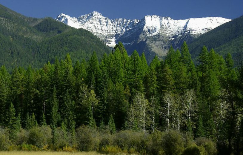 Swan Valley and Seeley Lake Ride