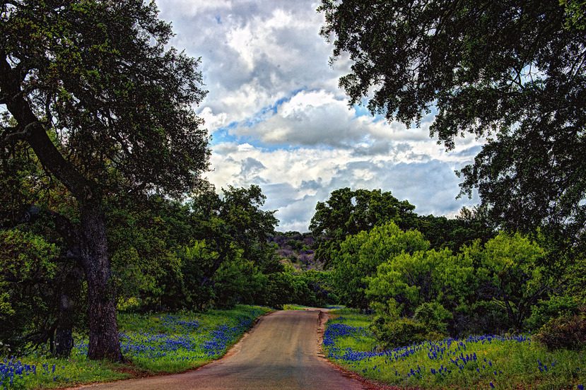 Willow City Loop