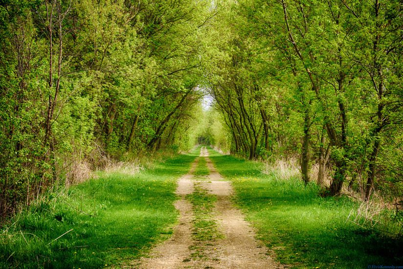 Wild Goose State Trail