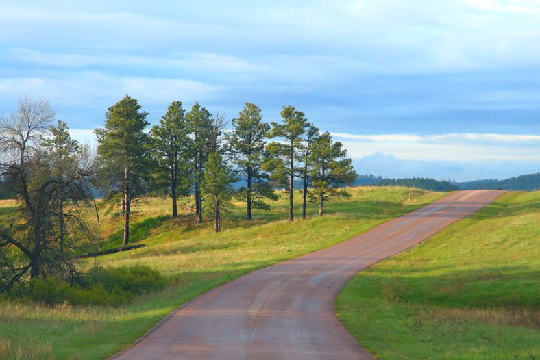 Custer State Park Wildlife Loop