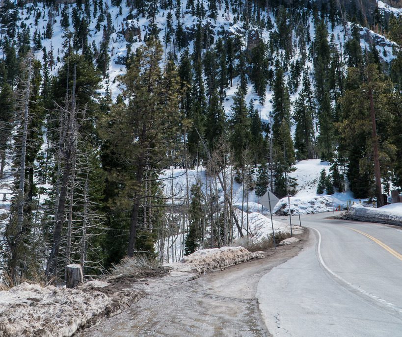 Mount Charleston Scenic Byway