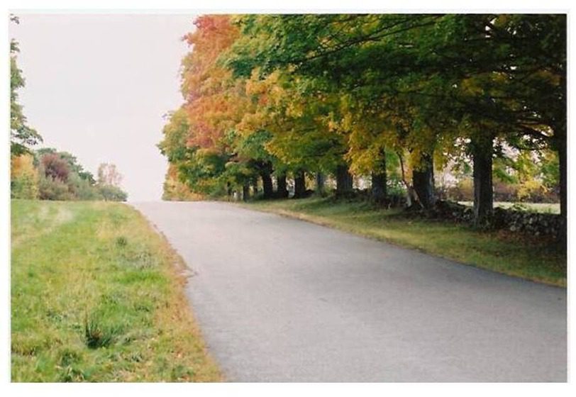 Central Massachusetts' Tree-Lined Routes