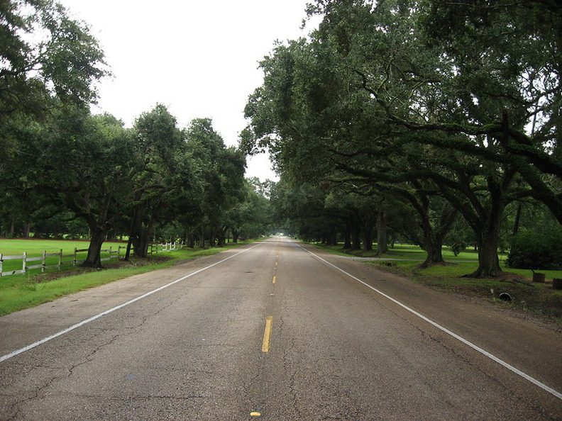 The Acadiana Byway