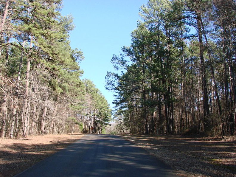 The Bayou Bouillon Loop