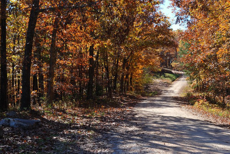 Glade Top Trail