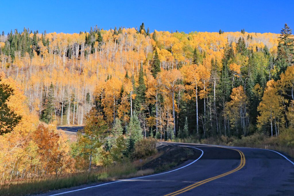 The Grand Mesa Scenic Byway