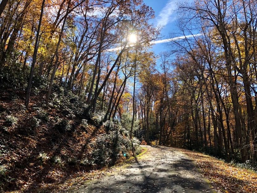 The Monongahela National Forest Adventure