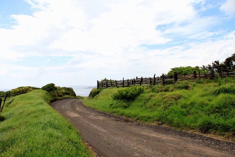 The Road to Hana