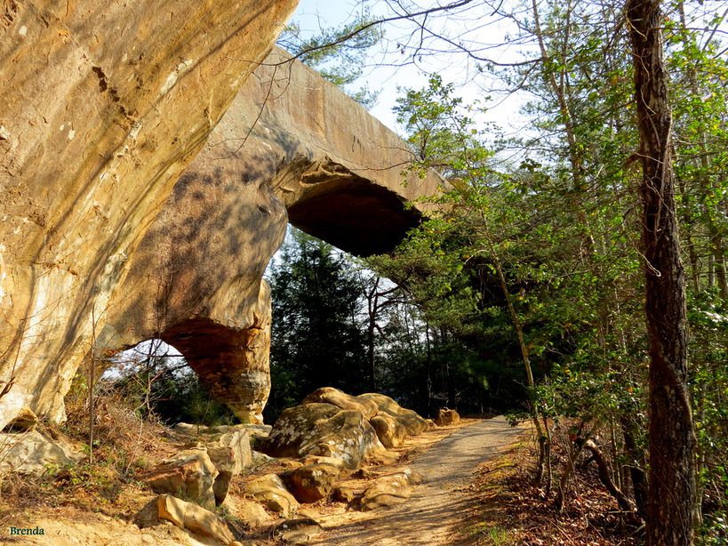 Red River Gorge Scenic Byway