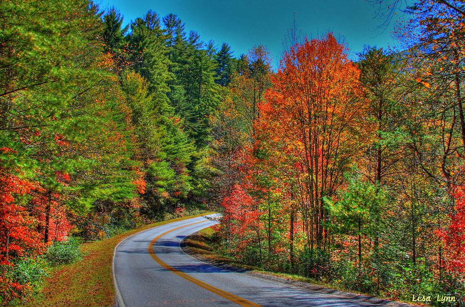 Richard B. Russell Scenic Highway