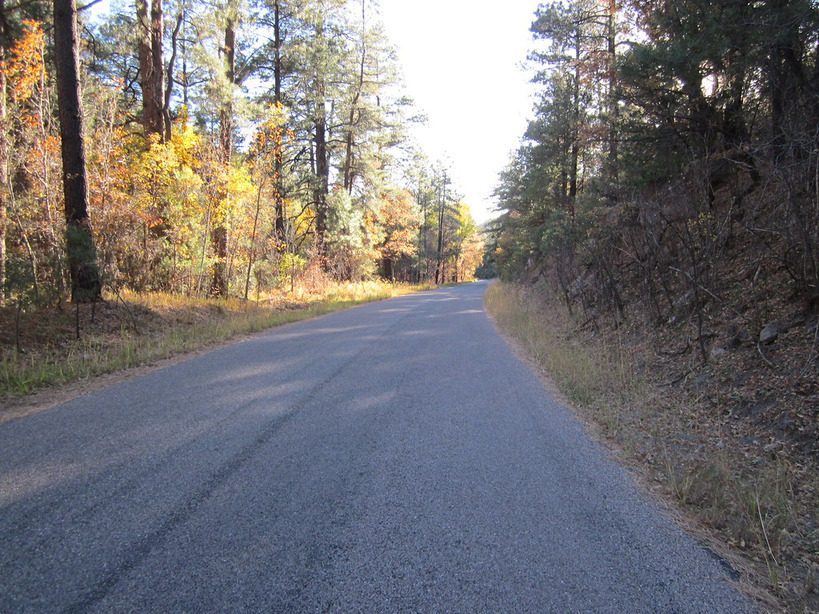 Gila National Forest Loop