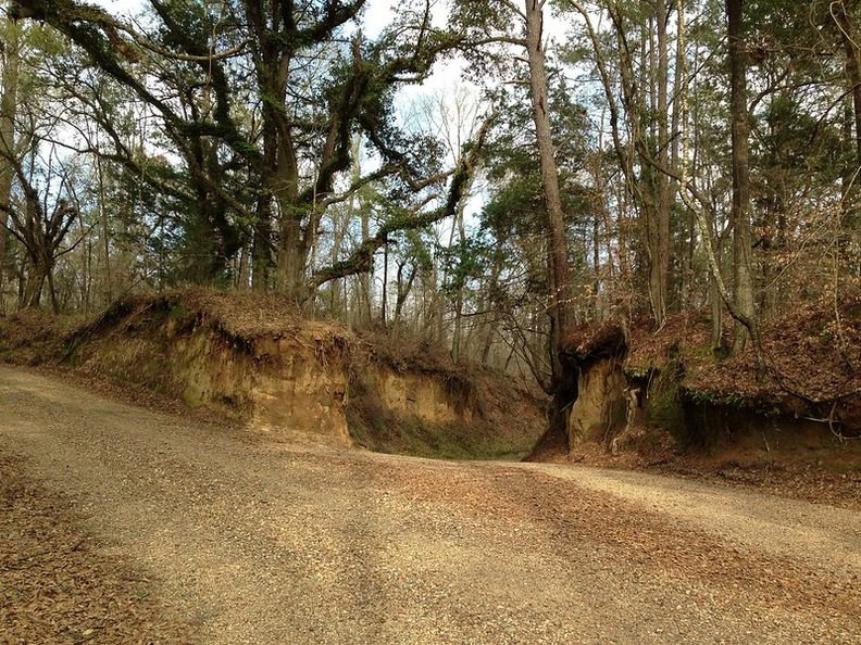 The Tunica Hills Run