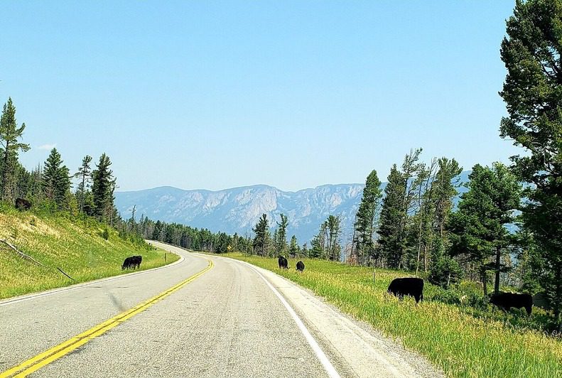 Chief Joseph Scenic Byway