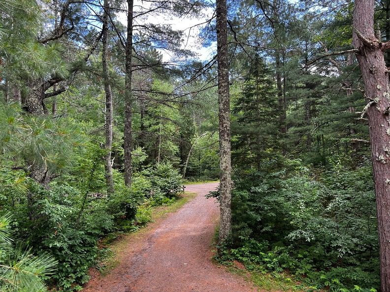 Chequamegon-Nicolet National Forest Ride