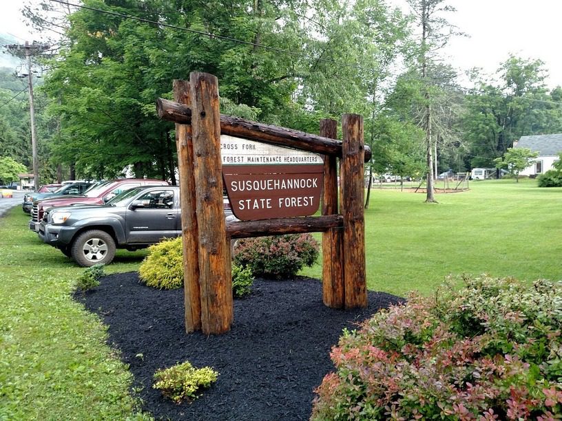 Susquehannock State Forest Loop