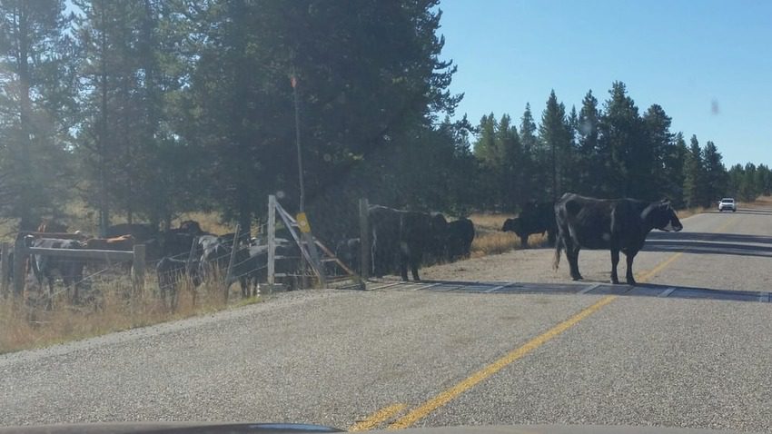 Mesa Falls Scenic Byway