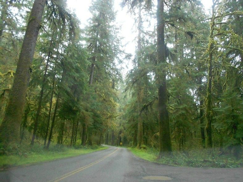 Olympic Peninsula Loop