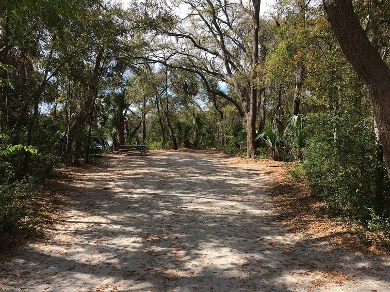 Edisto Beach Tour